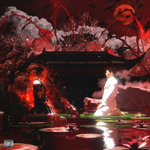 宅男视频在线入口播放
