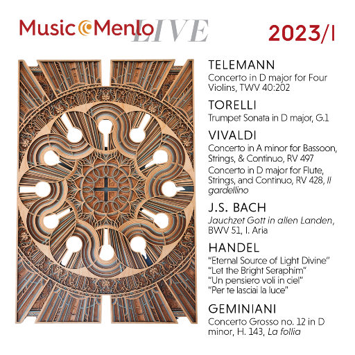 宅男视频在线入口播放
